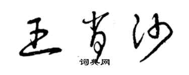 曾慶福王肖沙草書個性簽名怎么寫