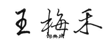 駱恆光王梅禾行書個性簽名怎么寫