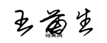 朱錫榮王苗生草書個性簽名怎么寫