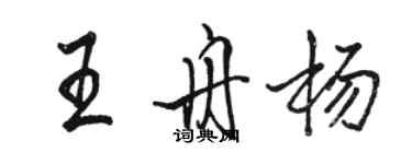 駱恆光王舟楊行書個性簽名怎么寫