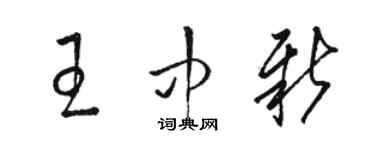 駱恆光王中新草書個性簽名怎么寫