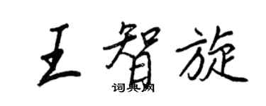 王正良王智旋行書個性簽名怎么寫