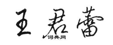駱恆光王君蕾行書個性簽名怎么寫