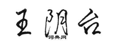 駱恆光王陰台行書個性簽名怎么寫