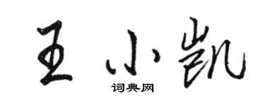 駱恆光王小凱行書個性簽名怎么寫