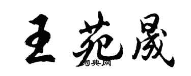 胡問遂王苑晟行書個性簽名怎么寫