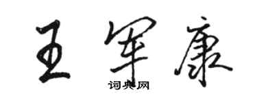 駱恆光王軍康行書個性簽名怎么寫