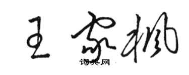 駱恆光王家楓草書個性簽名怎么寫