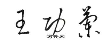 駱恆光王功蘭草書個性簽名怎么寫