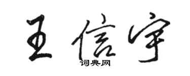 駱恆光王信宇行書個性簽名怎么寫