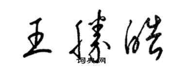 梁錦英王勝皓草書個性簽名怎么寫