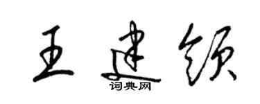 梁錦英王建領草書個性簽名怎么寫