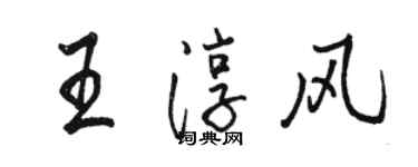 駱恆光王淳風行書個性簽名怎么寫