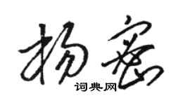 駱恆光楊密草書個性簽名怎么寫