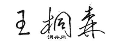 駱恆光王桐森草書個性簽名怎么寫