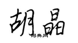 王正良胡晶行書個性簽名怎么寫