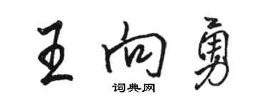 駱恆光王向勇行書個性簽名怎么寫