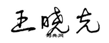 曾慶福王曉克草書個性簽名怎么寫