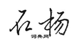 駱恆光石楊行書個性簽名怎么寫