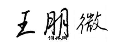 王正良王朋微行書個性簽名怎么寫