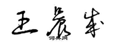 曾慶福王晨成草書個性簽名怎么寫