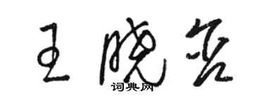 駱恆光王曉含草書個性簽名怎么寫