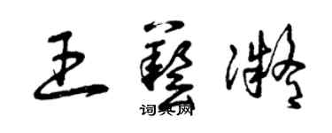 曾慶福王藝凝草書個性簽名怎么寫