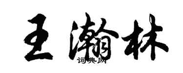 胡問遂王瀚林行書個性簽名怎么寫