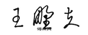 駱恆光王野夫草書個性簽名怎么寫