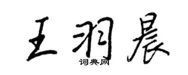 王正良王羽晨行書個性簽名怎么寫