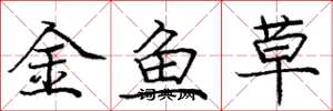 龐中華金魚草楷書怎么寫