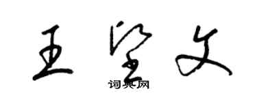 梁錦英王堅文草書個性簽名怎么寫