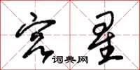 朱錫榮宮星草書怎么寫