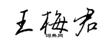 王正良王梅君行書個性簽名怎么寫