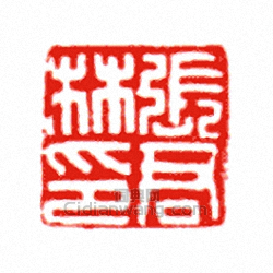 “張君林印”篆刻印章