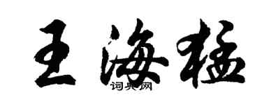 胡問遂王海猛行書個性簽名怎么寫