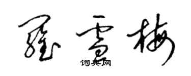 梁錦英羅雪梅草書個性簽名怎么寫