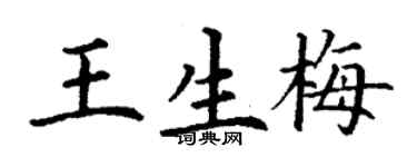 丁謙王生梅楷書個性簽名怎么寫