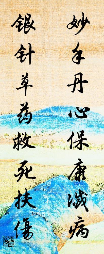 妙手丹心保康滅病 銀針草藥救死扶傷怎么寫好看