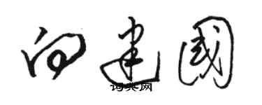 駱恆光向建國草書個性簽名怎么寫