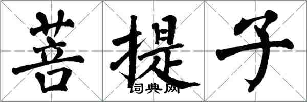 翁闓運菩提子楷書怎么寫