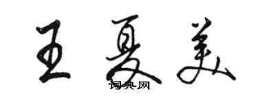 駱恆光王夏美行書個性簽名怎么寫