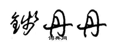 朱錫榮錢丹丹草書個性簽名怎么寫