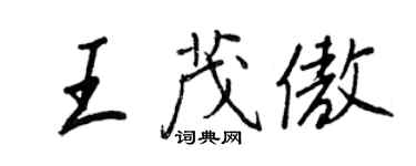 王正良王茂傲行書個性簽名怎么寫