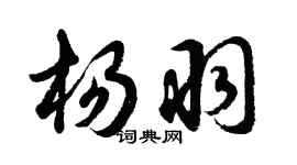 胡問遂楊羽行書個性簽名怎么寫