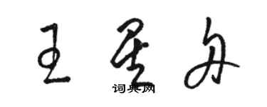 駱恆光王星舟草書個性簽名怎么寫