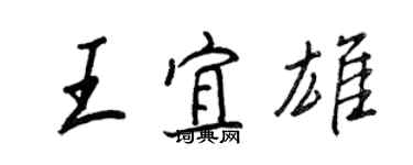 王正良王宜雄行書個性簽名怎么寫