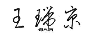 駱恆光王瑞京草書個性簽名怎么寫