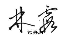 駱恆光林霞草書個性簽名怎么寫