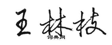 駱恆光王林枝行書個性簽名怎么寫